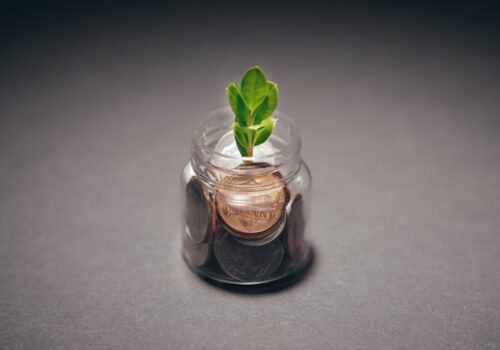 How sustainable practices can save money in commercial projects?